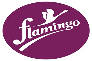 fiaming0 logo