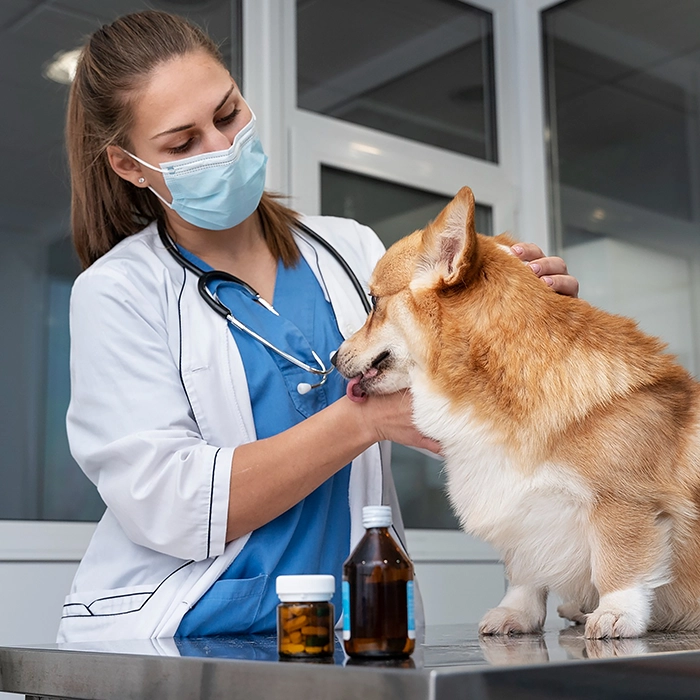 Veterinary Drugs